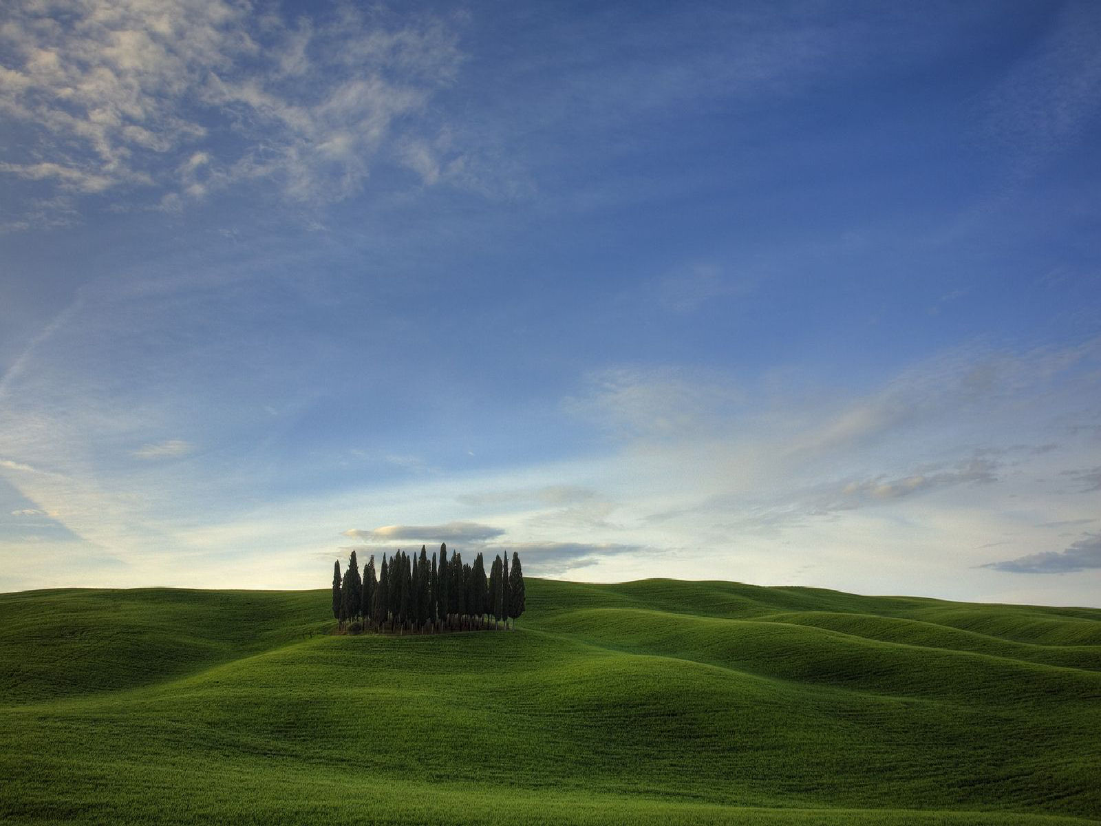 Nature (60).jpg